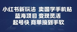 小红书新玩法，卖国学手机贴，蓝海项目，变现灵活，起号快，商单接到手软-网赚36计