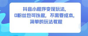 抖音小程序变现玩法，0粉丝也可以做，不需要成本，简单的玩法教程-网赚36计