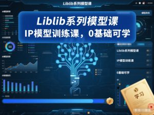 Liblib系列模型课，IP模型训练课，0基础可学-网赚36计