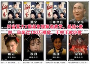 抖音某大V最新影视解说教学，基础+进阶，单条过100万播放，手把手教你做-网赚36计