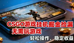 CSGO游戏挂G掘金捡漏，不需要玩游戏，操作简单，收益稳定【揭秘】-网赚36计