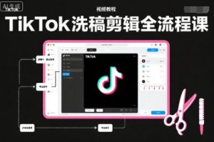 TikTok洗稿剪辑全流程课，PR洗稿剪辑全流程，TK洗稿运营课-网赚36计