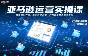 亚马逊运营实操课，覆盖选品方法、新品口诀必学、广告最新打法等全流程，打造跨境爆款店铺-网赚36计