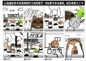 卤蛋哈基米短视频制作全流程教学，条条爆款，疯狂吸粉几十万-网赚36计