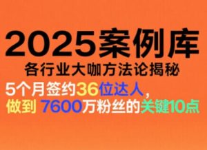 2025案例库,收录各行业大咖的方法论,各行业大咖方法论揭秘-网赚36计