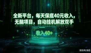 最新看广平台，每天保底30-4米，无脑项目，自动挂G解放双手【揭秘】-网赚36计