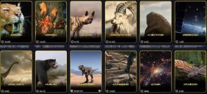 抖音60W粉丝博主最新科学知识科普视频制作教学，流量超好，多平台发布撸收益-网赚36计