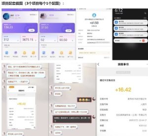 当天能收益的3个小项目拆解_包括平台+操作流程-网赚36计