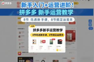 新手入门+运营进阶！拼多多新手运营教学，8节吃透新手课，8节搞定运营关-网赚36计