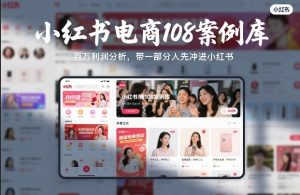 小红书电商108案例库，百W利润分析，带一部分人先冲进小红书【文档】-网赚36计