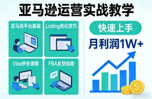 亚马逊运营实战教学,亚马逊平台+Listing优化+Vine秒杀+FBA发货等,快速上手,实现店铺月利润1W-网赚36计
