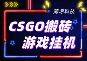 CSGO游戏挂G游戏搬砖最新升级，普通小白一部手机可日入3张+当天见结果，支持验证【揭秘】-网赚36计