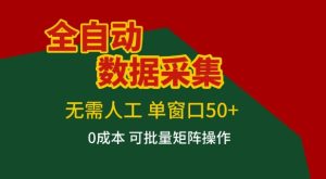 全自动数据采集项目，无需人工，单窗口可达50+收益，操作简单无难度，一个人也能轻松实现矩阵【揭秘】-网赚36计