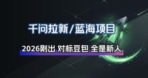 千问拉新项目拆解_阿里狂砸30E，这还不马上入局接富贵-网赚36计
