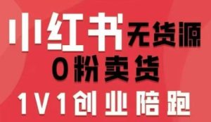 小红书无货源0粉电商课,开店准备、选品策略、笔记撰写、视频剪辑、数据分析、账号打造、资料文档(更新26年2月)-网赚36计