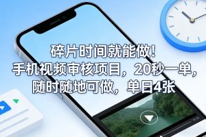 碎片时间就能做！手机视频审核项目，20秒一单，随时随地可做，单日4张+【揭秘】-网赚36计