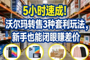 5小时速成！沃尔玛转售3种套利玩法，新手也能闭眼賺差价-网赚36计