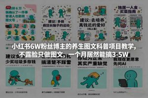 小红书6W粉丝博主的养生图文科普项目教学，不露脸只做图文，一个月居然能搞3-5W-网赚36计