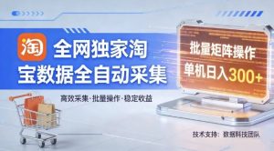 全网独家，淘宝数据全自动采集项目，批量可矩阵，单机轻松日入300【揭秘】-网赚36计