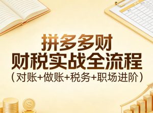 拼多多财税实战全流程(对账+做账+税务+职场进阶)-网赚36计