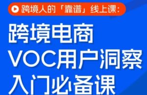 跨境电商VOC用户洞察入门必备课,跨境人的靠谱线上课-网赚36计