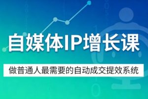 自媒体IP增长课,做普通人最需要的自动成交提效系统-网赚36计