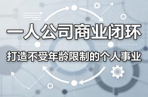 一人公司商业闭环,打造一份不受年龄限制的个人事业-网赚36计