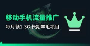 手机流量领取推广_每月一轮,刚需类的长期项目-网赚36计