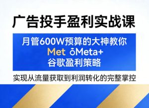 广告投手盈利实战课,月管600W预算的大神教你Meta+谷歌盈利策略,实现从流量获取到利润转化的完整掌控-网赚36计