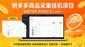 拼多多商品信息全自动采集项目,批量可矩阵,单机轻松日入300+,无需云机一台电脑开干【揭秘】-网赚36计