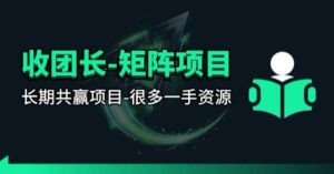 【团长合作】视频矩阵项目_招发手矩阵+剪辑师,共赢项目【揭秘】-网赚36计