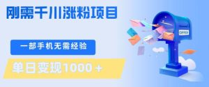 刚需千川涨粉项目,一部手机无需技术,单日变现1k+,当天做当天见收益【揭秘】-网赚36计
