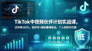 TikTok中视频伙伴计划实战课,过中率100%,低封号+播放量賺收益,个人矩阵均可做-网赚36计