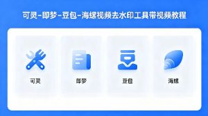 可灵–即梦–豆包–海螺视频去水印工具带视频教程-网赚36计