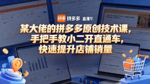 某大佬的拼多多原创技术课,手把手教小二开直通车,快速提升店铺销量-网赚36计