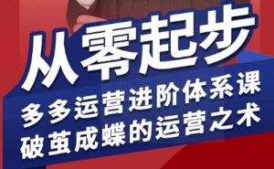 拼多多运营进阶系统课,从零起步,多多运营进阶体系课,破茧成蝶的运营之术(更新26年4月)-网赚36计