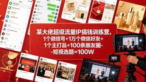 某大佬超级流量IP搞钱训练营，1个微信号+1万个微信好友+1个主打品+100条朋友圈-短视选题=100W-网赚36计