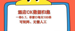 上班也能玩的酒店CK数据归集,一单0.7单窗口每天可做100单,一个人就能矩阵操作【揭秘】-网赚36计