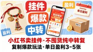 小红书卖挂件，不囤货纯中转复制爆款玩法，单日盈利3-5张-网赚36计
