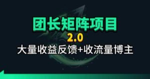 【团长合作2.0】视频矩阵项目_招发手矩阵+剪辑师，共赢项目【揭秘】-网赚36计