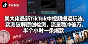 某大佬最新TikTok中视频搬运玩法，实测破解原创检测，流量稳冲破万，半个小时一条爆款-网赚36计