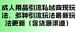 成人用品引流私域变现玩法,多种引流玩法最新玩法,操作简单(含货源渠道)-网赚36计