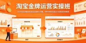 淘宝金牌运营实操班，从0开始系统解决你淘宝运营核心问题，手把手带你完成从小白到高手的蜕变-网赚36计