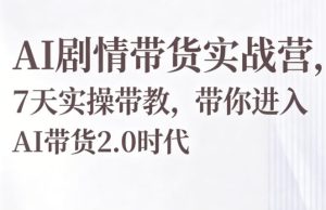 AI剧情带货实战营，7天实操带教，带你进入AI带货2.0时代-网赚36计
