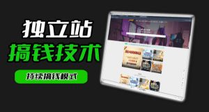 干货来袭!麦子甜带你吃透独立站|从搭建到引流一站式教学《独立站》第一期-网赚36计