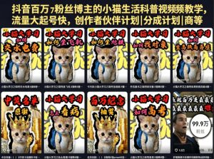 抖音百万粉丝博主的小猫生活科普视频教学,流量大起号快,创作者伙伴计划|分成计划|商单|收徒等-网赚36计