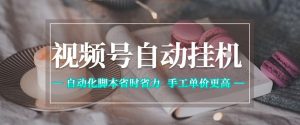 视频号自动挂G项目，自动化脚本省时省力，手工单价更高，日入300+全网最稳【揭秘】-网赚36计