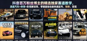 抖音百万粉丝博主的精选独家赛道教学，涵盖汽车+体育+影视解说等，零基础也能快速起号、涨粉、变现-网赚36计