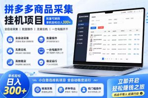 拼多多商品信息采集挂G项目，批量可矩阵，单机轻松日入300+，长期稳定【揭秘】-网赚36计