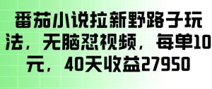 番茄小说拉新野路子玩法，无脑怼视频，玩法简单、见效快，每单10米，40天收益27950-网赚36计